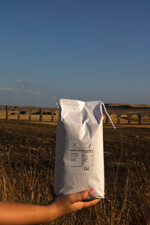 farina-integrale-di-grano-duro