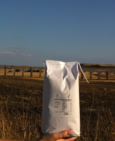 chatgpt image 31 gen 2026, 19_25_50