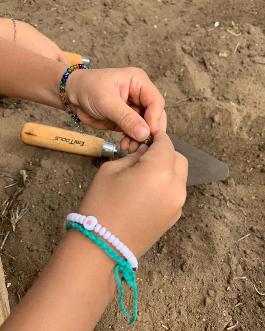 whatsapp image 2025-03-18 at 16.42.05-10.jpeg whatsapp image 2025-03-18 at 16.42.05-10.jpeg