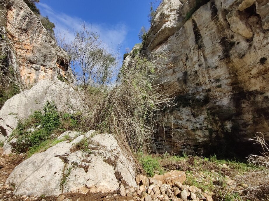 1000206593_d57e62934de4cfbd83eb8f66ac4147cb-18_02_2025, 00_51_39.jpeg 1000206593_d57e62934de4cfbd83eb8f66ac4147cb-18_02_2025, 00_51_39.jpeg