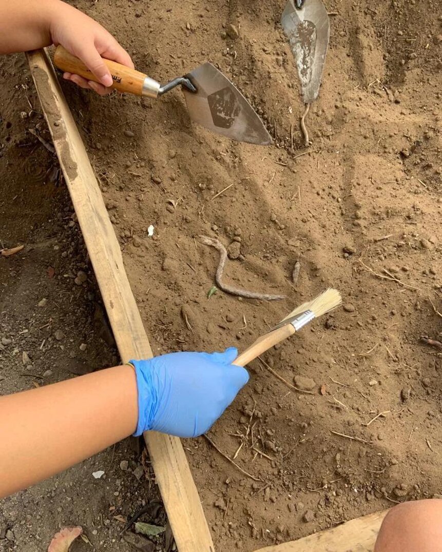 whatsapp image 2025-03-18 at 16.42.05-9.jpeg whatsapp image 2025-03-18 at 16.42.05-9.jpeg