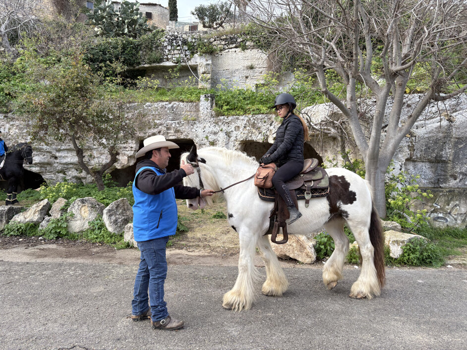 img_1050.jpeg img_1050.jpeg