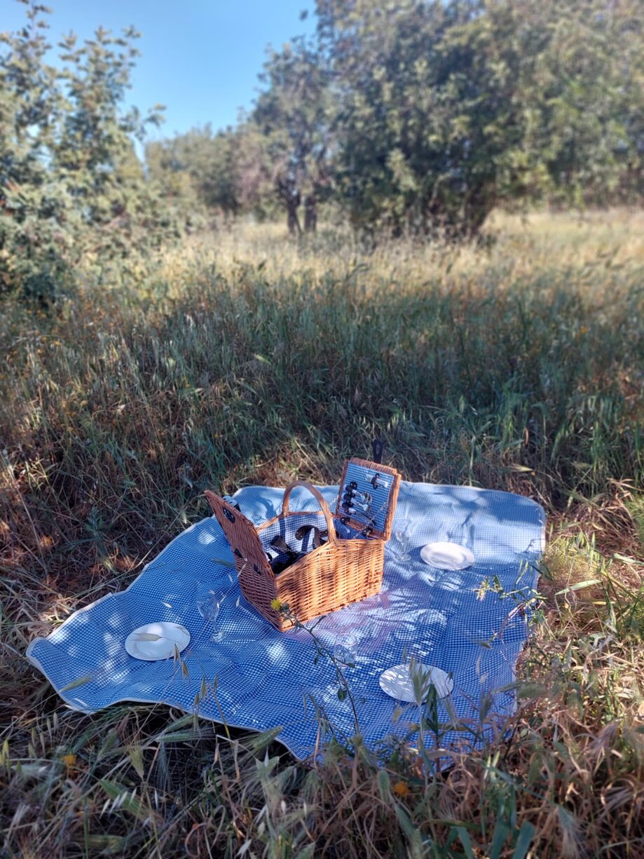 whatsapp image 2025-02-18 at 18.52.28-2.jpeg whatsapp image 2025-02-18 at 18.52.28-2.jpeg