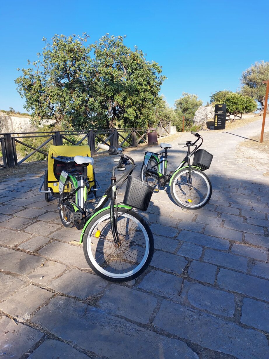 whatsapp image 2025-02-27 at 15.56.27-2.jpeg whatsapp image 2025-02-27 at 15.56.27-2.jpeg