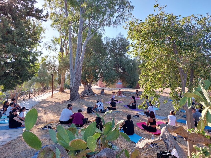 whatsapp image 2025-02-27 at 15.56.27.jpeg whatsapp image 2025-02-27 at 15.56.27.jpeg