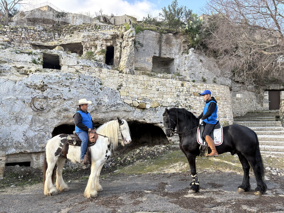 img_1008.jpeg img_1008.jpeg