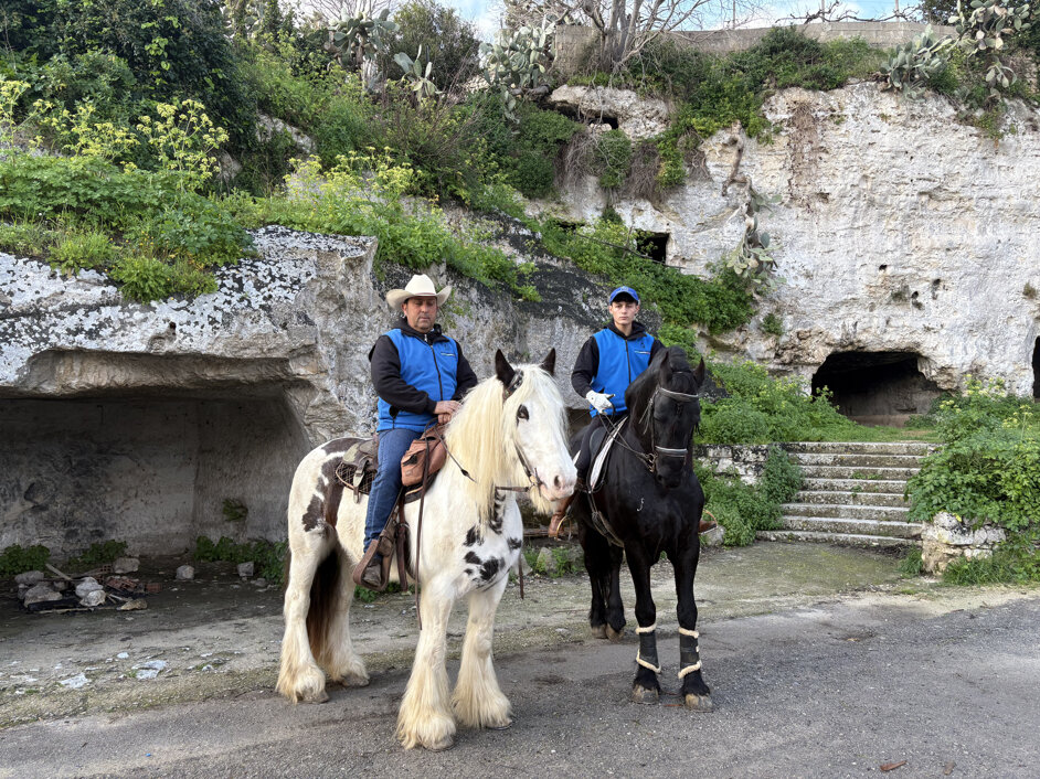 img_0991.jpeg img_0991.jpeg