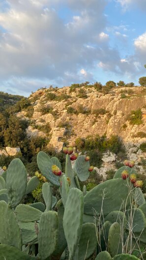 1000202372_6f2eb9591b2f2c8e2a97ba2cf85b9943-18_02_2025, 00_59_56.jpeg 1000202372_6f2eb9591b2f2c8e2a97ba2cf85b9943-18_02_2025, 00_59_56.jpeg