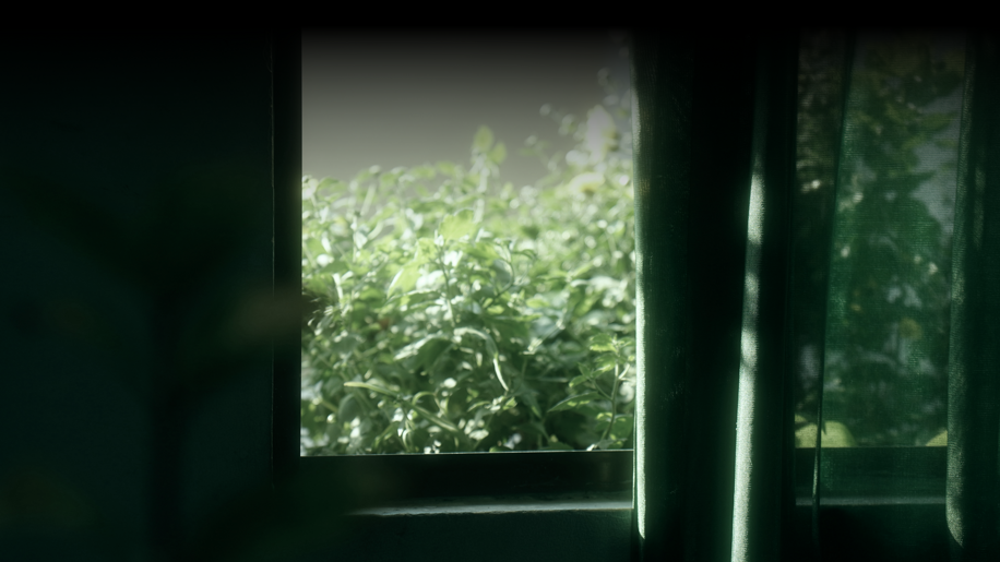 alice-dang-qakiva8s9nm-unsplash alice-dang-qakiva8s9nm-unsplash