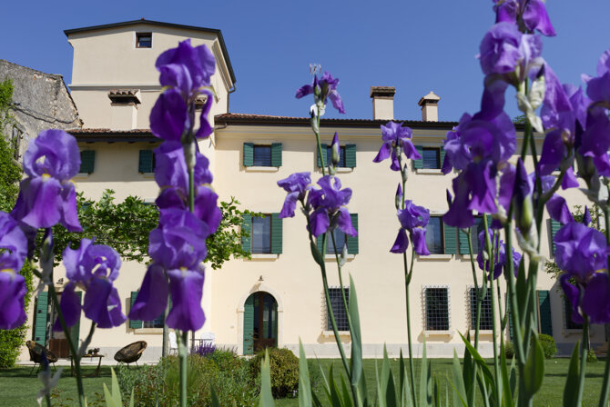 corte interna _017.jpeg corte interna _017.jpeg