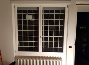 gall9.jpeg gall9.jpeg