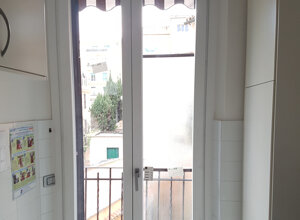 gall4.jpeg gall4.jpeg