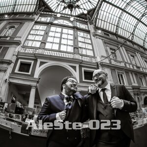 aleste-024.jpeg