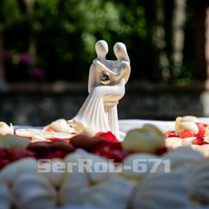 serrob-672.jpeg