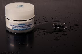 gallery6.jpeg gallery6.jpeg