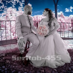 serrob-455_bn.jpeg