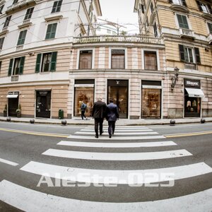 aleste-026.jpeg