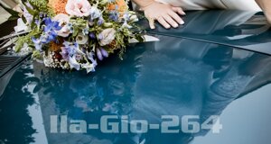 ila-gio-265.jpeg ila-gio-265.jpeg