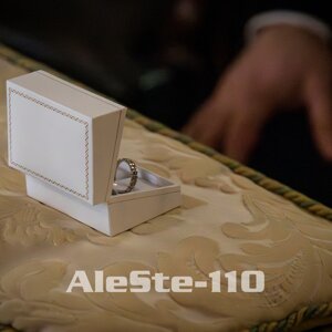 aleste-111.jpeg
