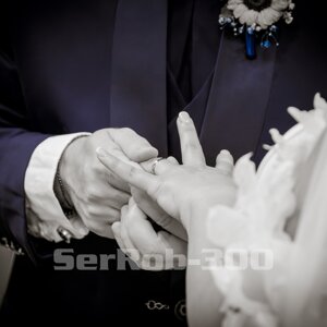serrob-301.jpeg