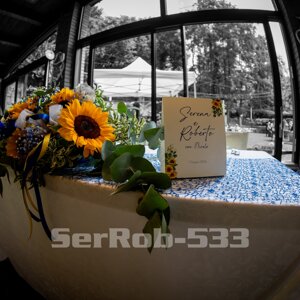 serrob-534.jpeg