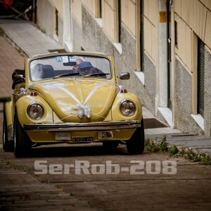 serrob-209.jpeg