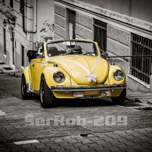 serrob-210.jpeg