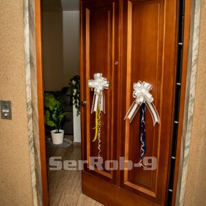 serrob-010.jpeg
