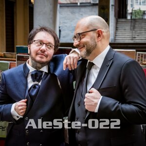 aleste-023.jpeg