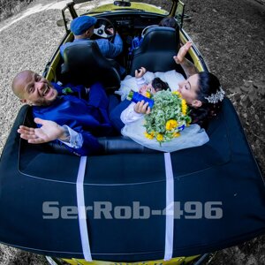 serrob-497.jpeg