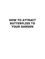 how-to-attract-butterflies-to-your-garden