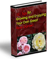 101tips-for-growing-and-enjoying-your-own-great-rose-garden