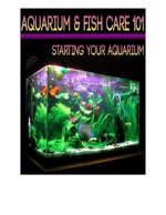 aquarium-fish-care-101