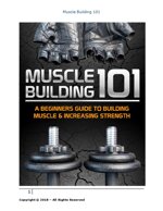 muscle-building-101