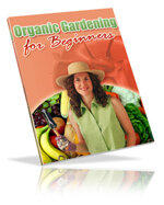 organic-gardening-for-beginners