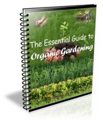 essential-guide-to-organic-gardening