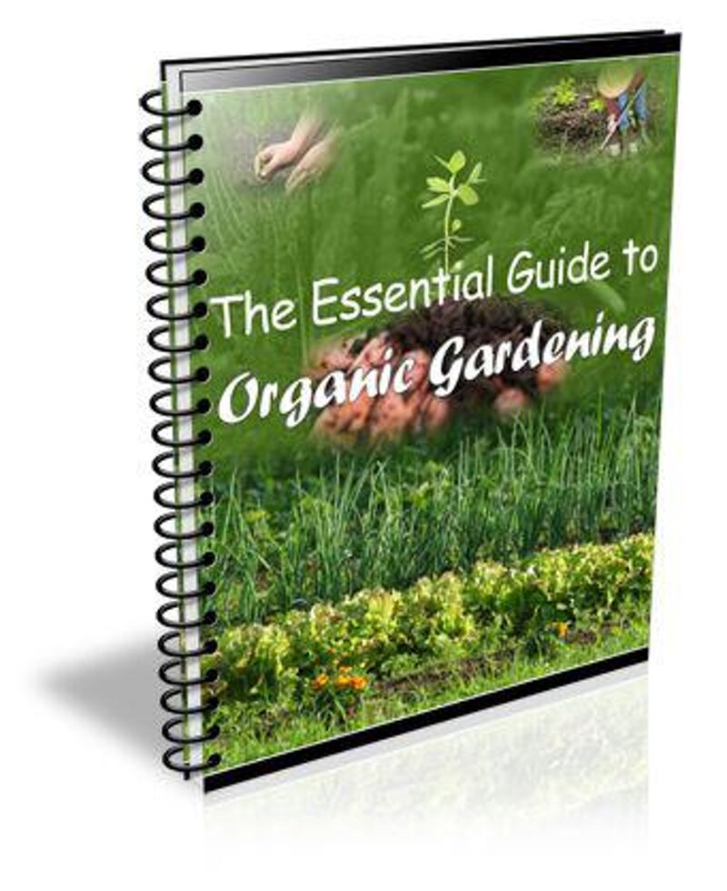 essential-guide-to-organic-gardening