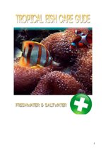 tropical-fish-care-guide