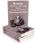 know-what-your-little-angel-needs-taking-care-of-your-pet-dog-and-cat