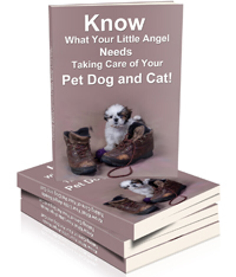 know-what-your-little-angel-needs-taking-care-of-your-pet-dog-and-cat