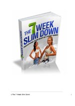 the-7-week-slim-down