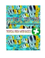tropical-fish-care