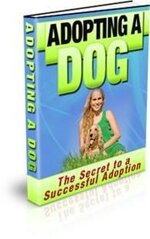 adopting-a-dog