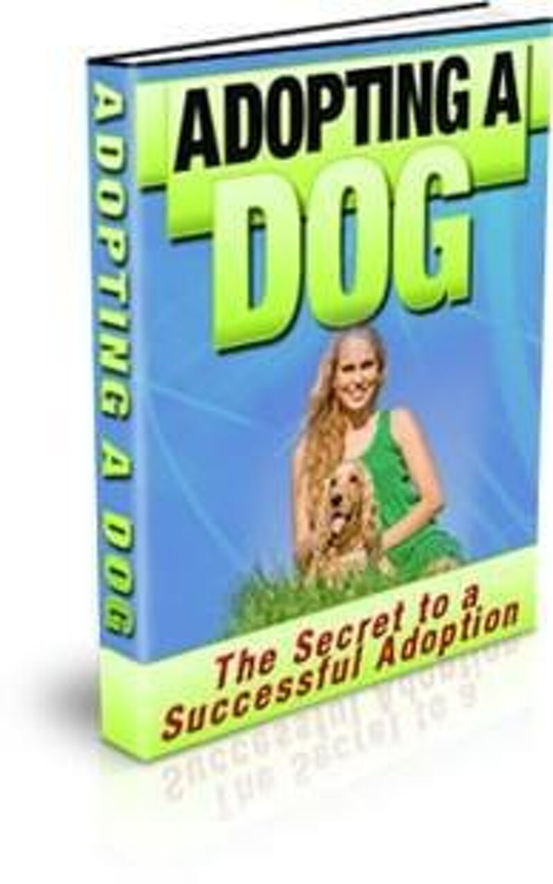 adopting-a-dog