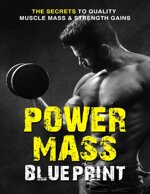 power-mass-blueprint