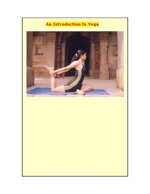 intro-to-yoga