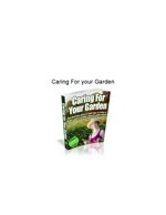 caring-for-your-garden