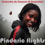 orchestra-da-camera-di-camerlata-pindaric-flights