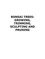bonsai-trees-growing-trimming-scalpting-and-pruning