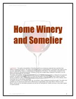 home-winery-sommelier